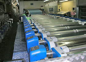 wet printing on polyester fibers